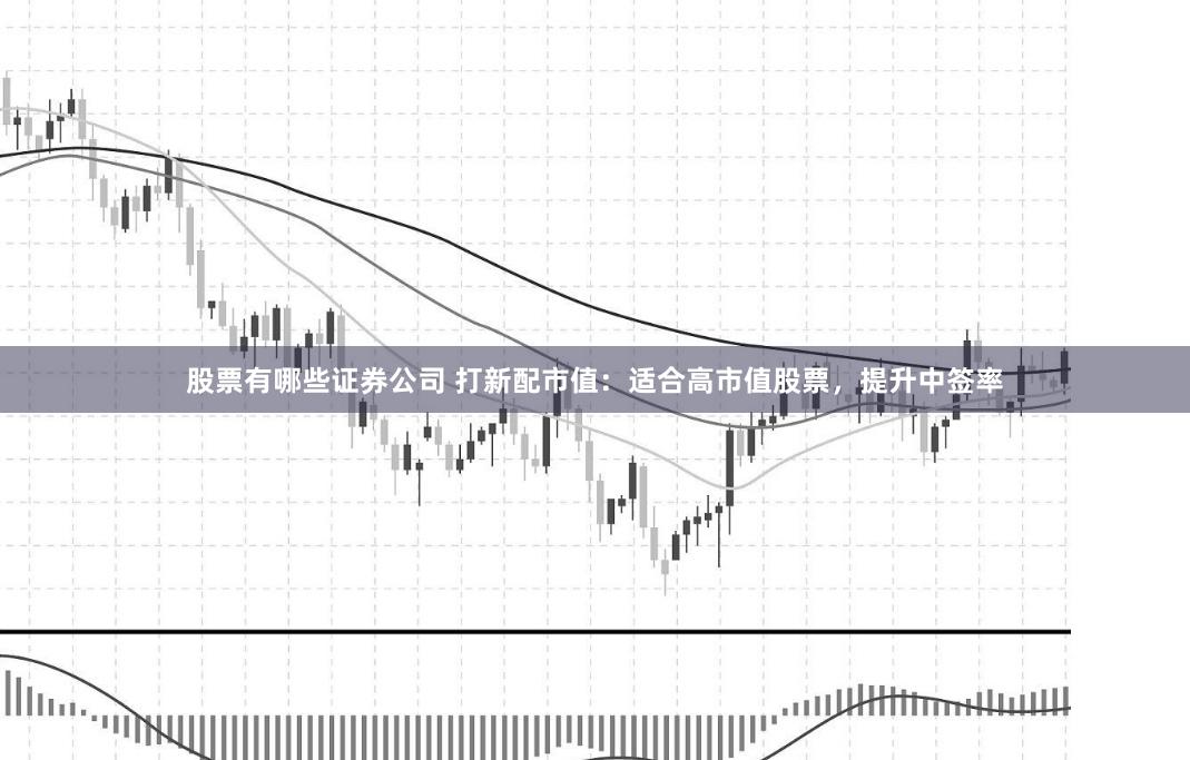 股票有哪些证券公司 打新配市值：适合高市值股票，提升中签率